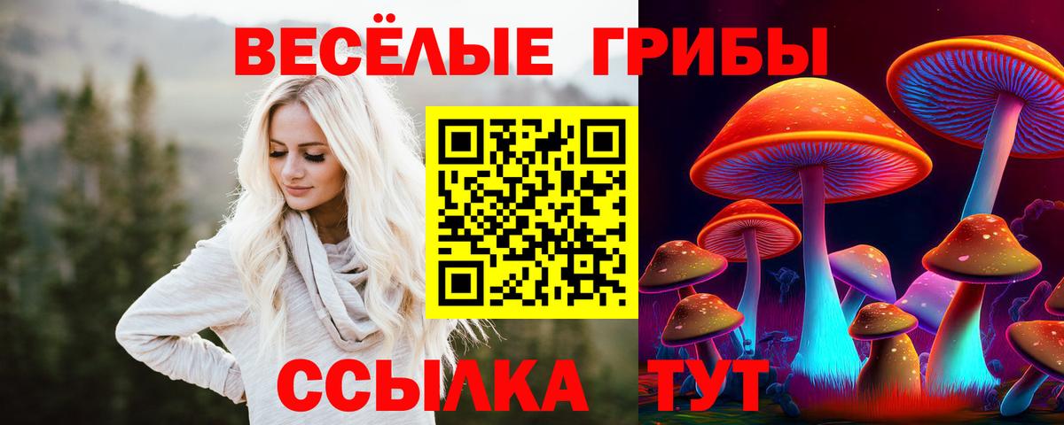 Галлюциногенные грибы Magic Shrooms Курчалой